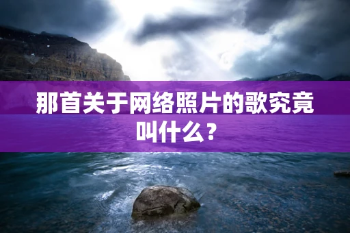 那首关于网络照片的歌究竟叫什么？