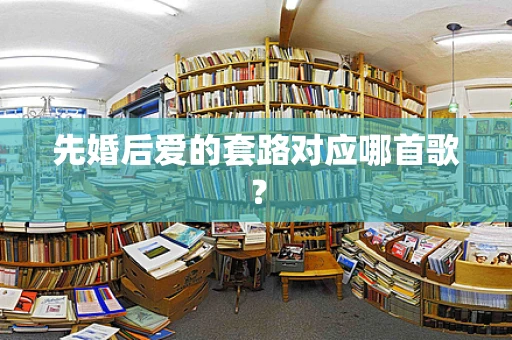 先婚后爱的套路对应哪首歌？