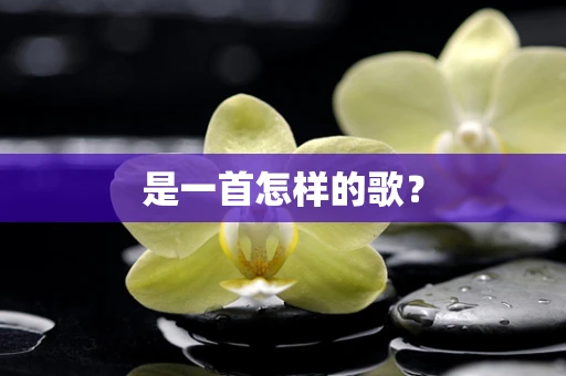 是一首怎样的歌？