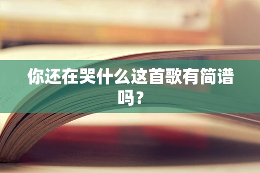 你还在哭什么这首歌有简谱吗？