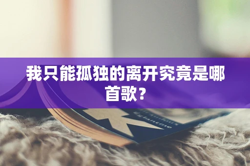 我只能孤独的离开究竟是哪首歌？