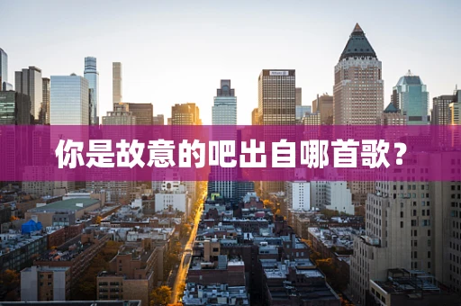 你是故意的吧出自哪首歌？