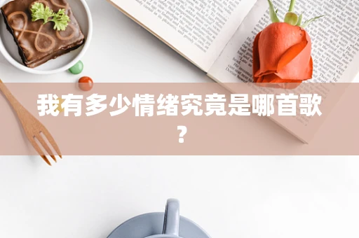 我有多少情绪究竟是哪首歌？