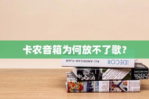 卡农音箱为何放不了歌？