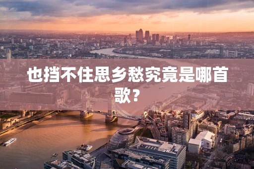 也挡不住思乡愁究竟是哪首歌？