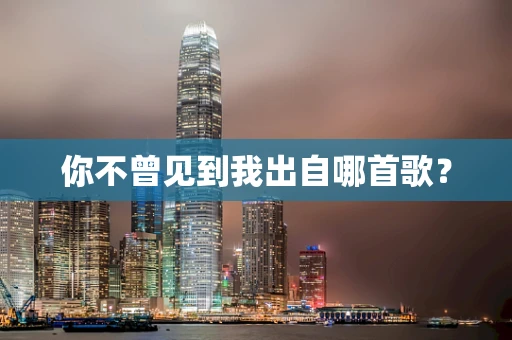 你不曾见到我出自哪首歌？