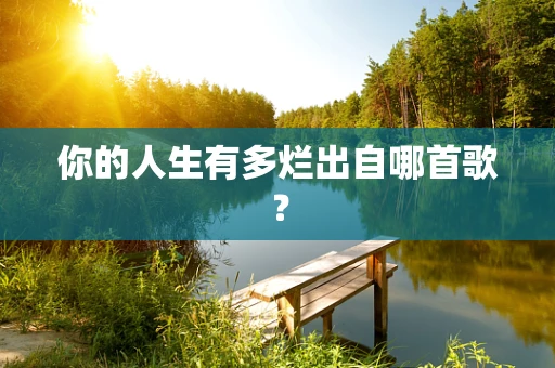 你的人生有多烂出自哪首歌？