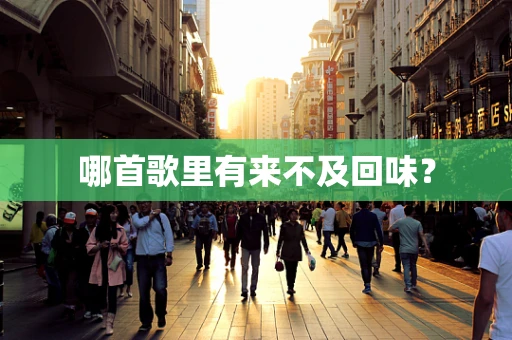 哪首歌里有来不及回味？