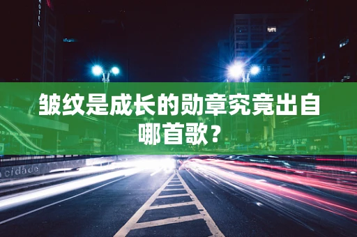 皱纹是成长的勋章究竟出自哪首歌？