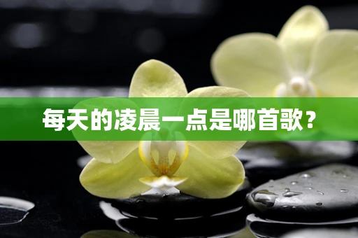 每天的凌晨一点是哪首歌？