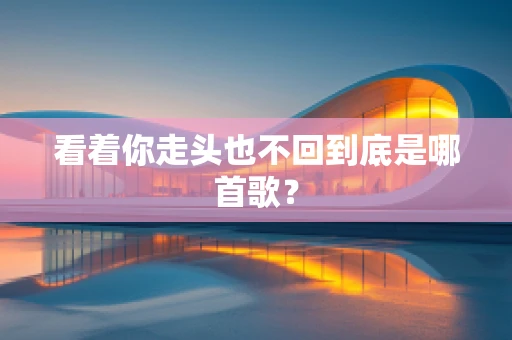 看着你走头也不回到底是哪首歌？