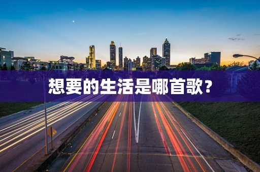 想要的生活是哪首歌？