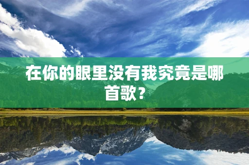 在你的眼里没有我究竟是哪首歌？