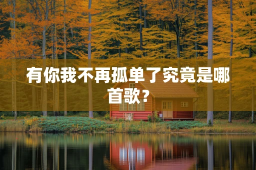 有你我不再孤单了究竟是哪首歌？