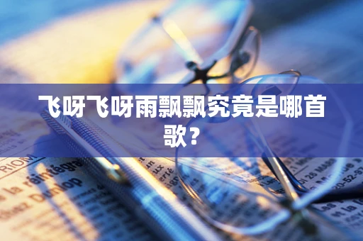 飞呀飞呀雨飘飘究竟是哪首歌？