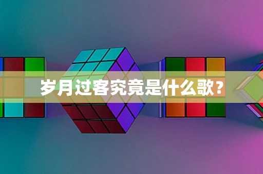 岁月过客究竟是什么歌？