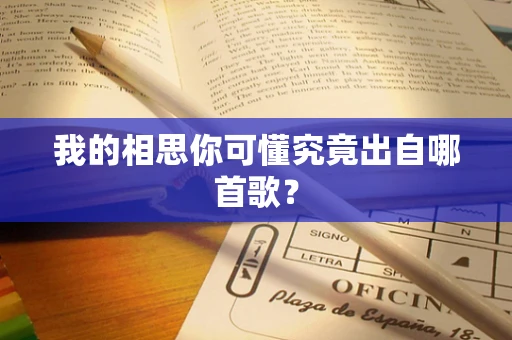我的相思你可懂究竟出自哪首歌？
