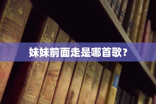 妹妹前面走是哪首歌？