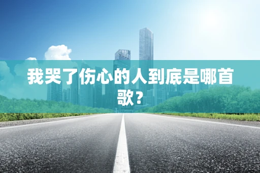 我哭了伤心的人到底是哪首歌？