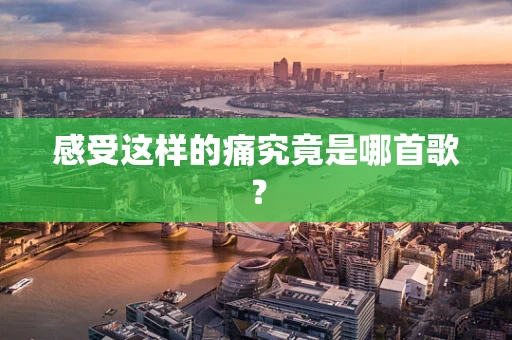 感受这样的痛究竟是哪首歌？