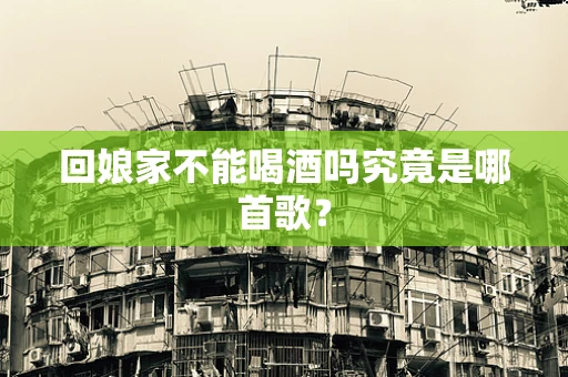 回娘家不能喝酒吗究竟是哪首歌？
