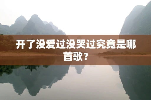 开了没爱过没哭过究竟是哪首歌？