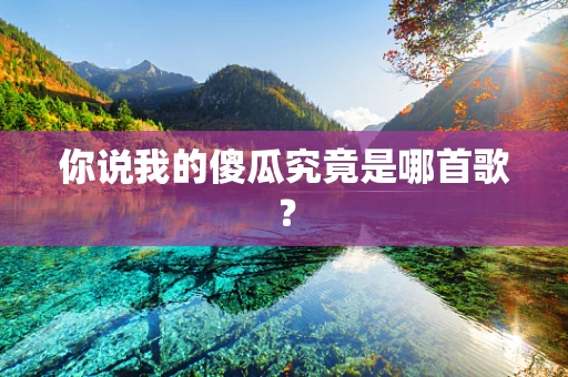 你说我的傻瓜究竟是哪首歌？