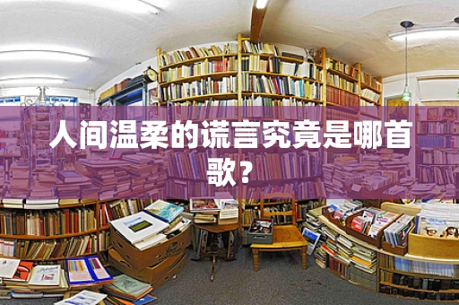 人间温柔的谎言究竟是哪首歌？