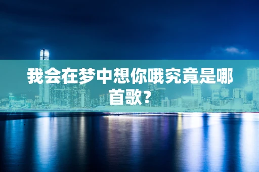 我会在梦中想你哦究竟是哪首歌？