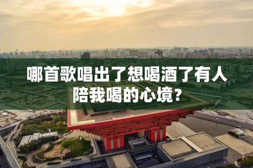 哪首歌唱出了想喝酒了有人陪我喝的心境？