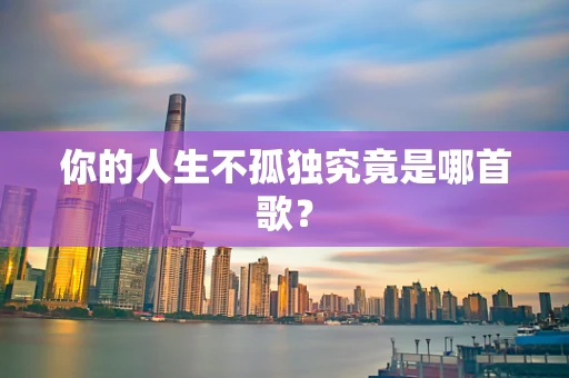你的人生不孤独究竟是哪首歌？
