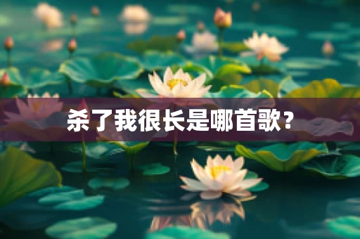 杀了我很长是哪首歌？