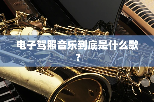 电子驾照音乐到底是什么歌？