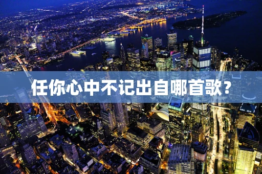 任你心中不记出自哪首歌？