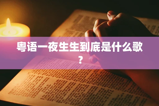 粤语一夜生生到底是什么歌？