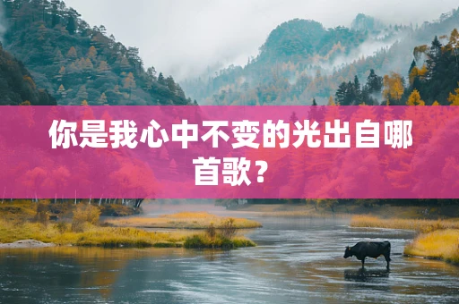 你是我心中不变的光出自哪首歌？