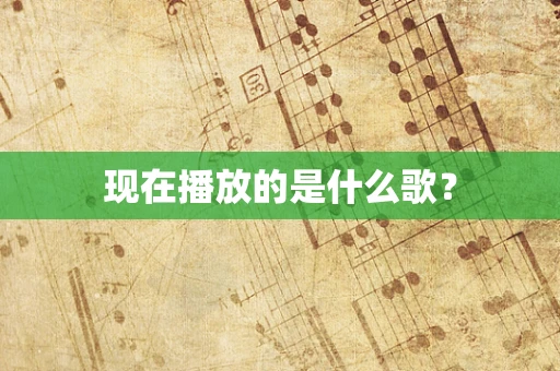 现在播放的是什么歌？