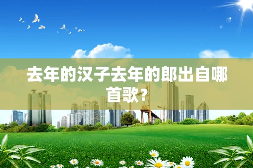 去年的汉子去年的郎出自哪首歌？