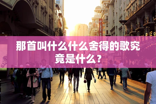 那首叫什么什么舍得的歌究竟是什么？