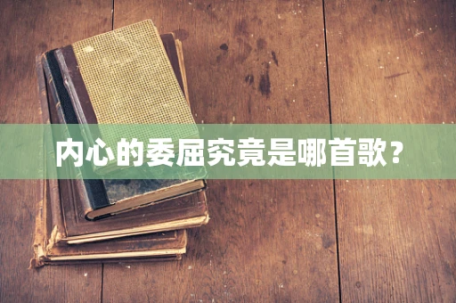 内心的委屈究竟是哪首歌？