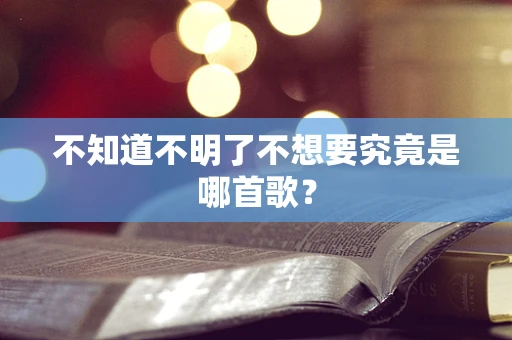 不知道不明了不想要究竟是哪首歌？