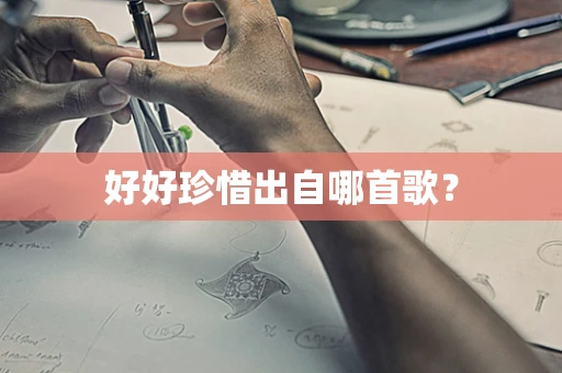好好珍惜出自哪首歌？