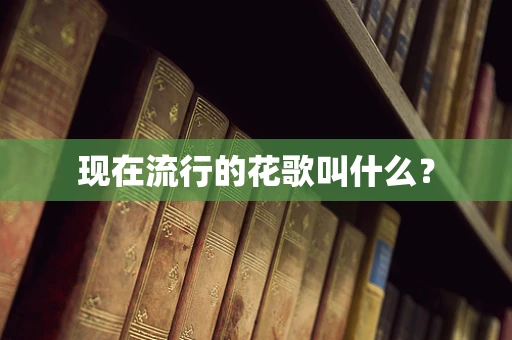 现在流行的花歌叫什么？