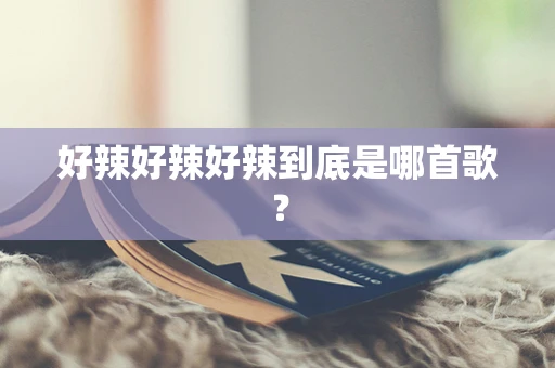 好辣好辣好辣到底是哪首歌？