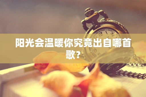 阳光会温暖你究竟出自哪首歌？
