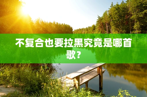 不复合也要拉黑究竟是哪首歌？