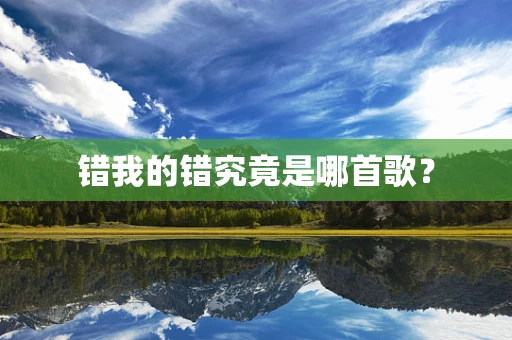 错我的错究竟是哪首歌？