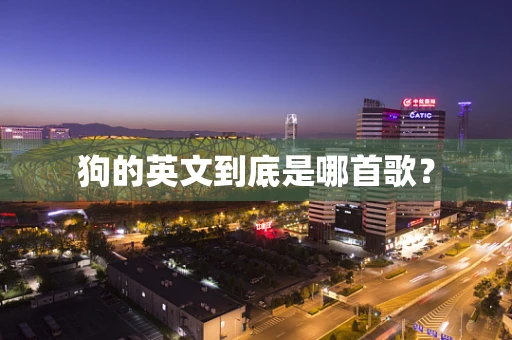 狗的英文到底是哪首歌？