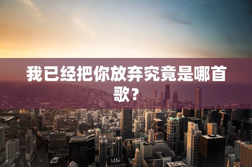 我已经把你放弃究竟是哪首歌？