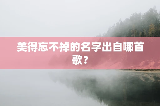 美得忘不掉的名字出自哪首歌？